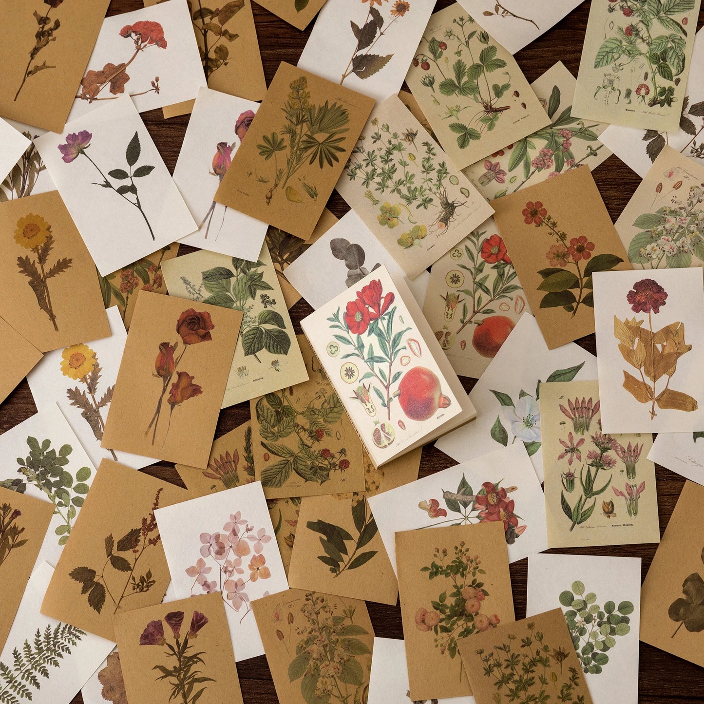 JIANQI 80pcs Scrapbooking material paper Butterfly Plant fairy tale story Labels Decorative collage Diary Album Craft Supplies
