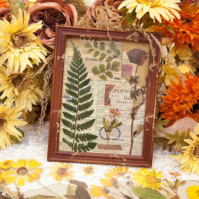 JIANQI 6pcs Large size Flowers Deco Stickers Scrapbooking Styling Junk Journaling Toy Aesthetic School DIY Stationery Stickers