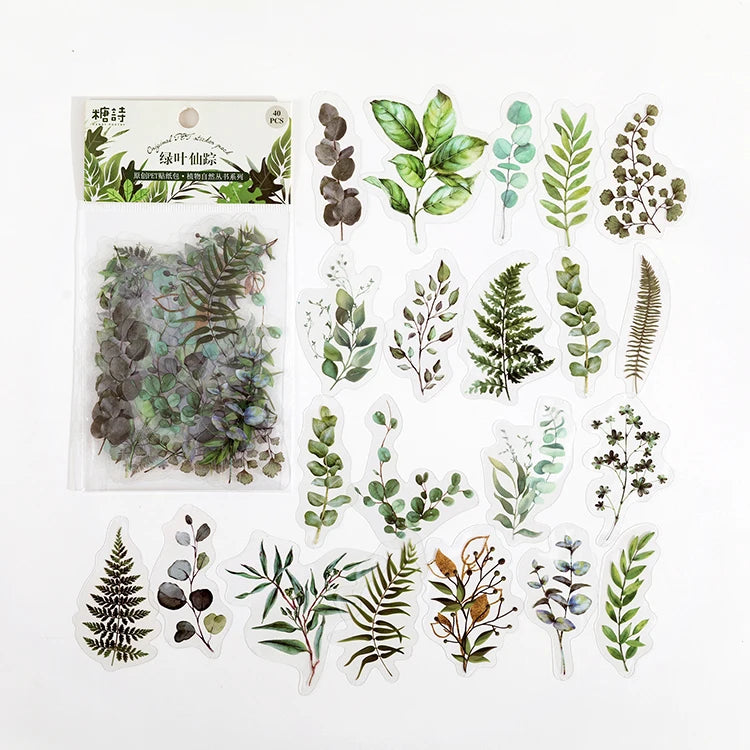Natural plant collection Green Leaf Decorative PET Stickers Scrapbooking Label Diary Stationery Album Phone Cup Journal Planner