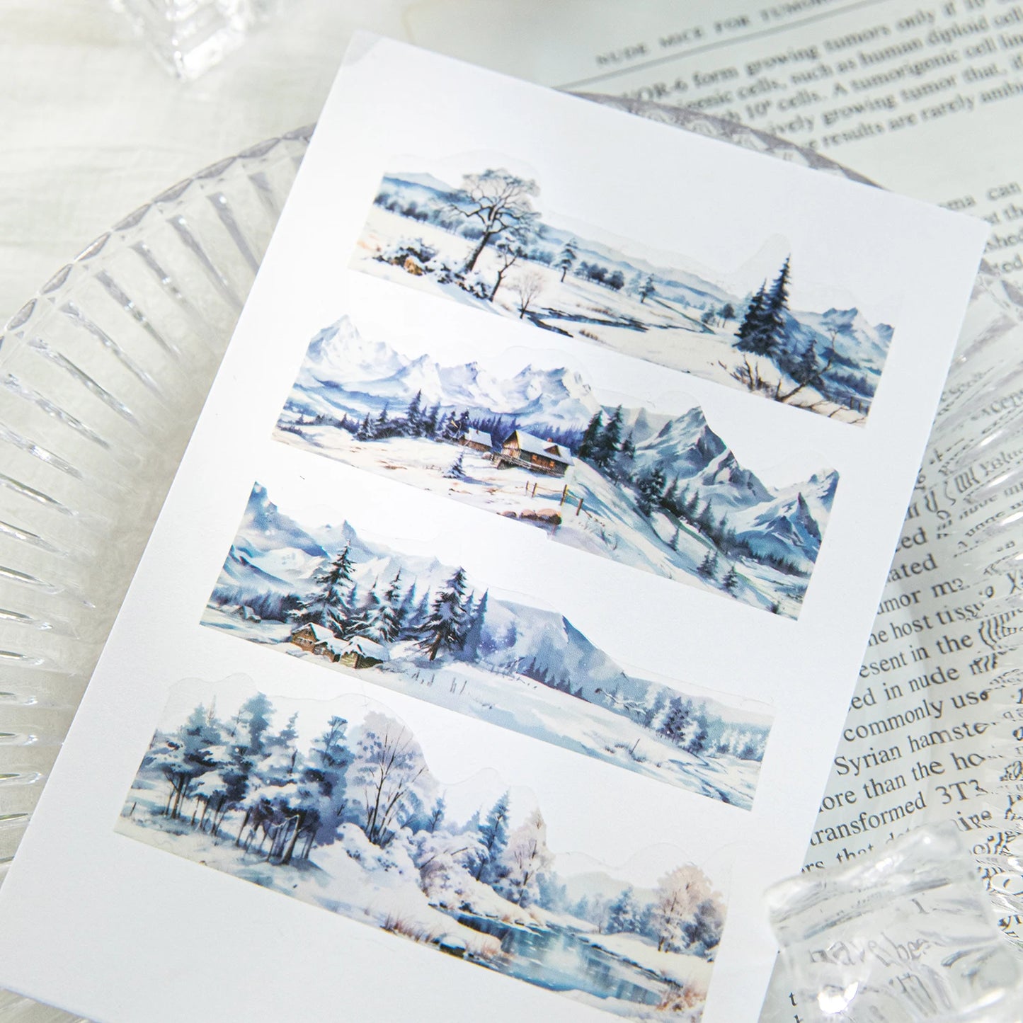 JIANQI 30mm*2m To The Mountains and Sea Series Vintage Landscape Collage Material PET Tape Creative DIY Journal Stationery