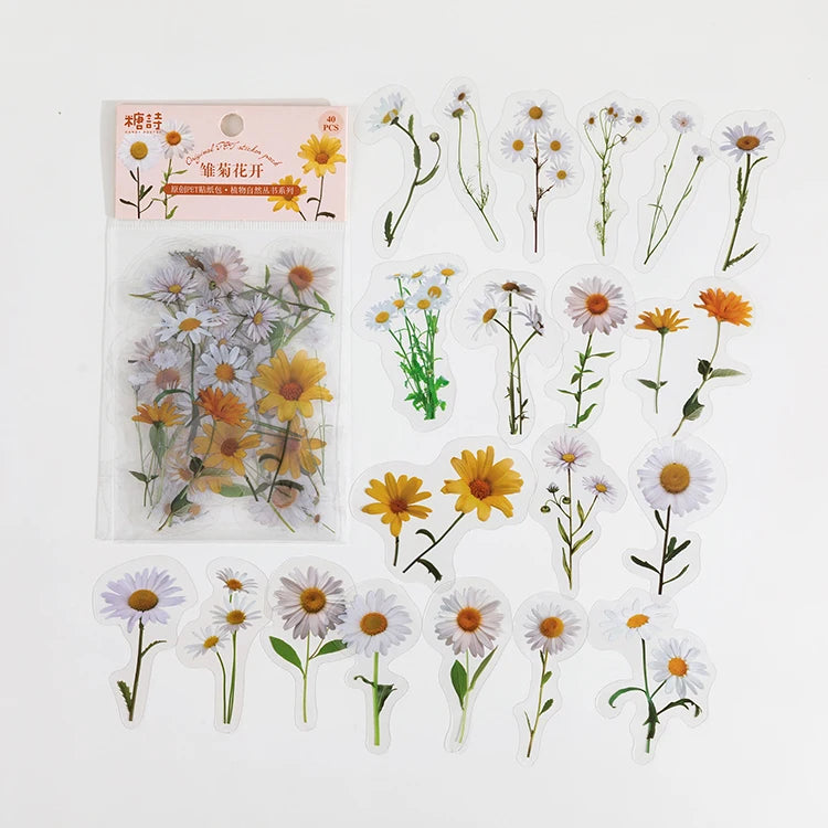 Natural plant collection Green Leaf Decorative PET Stickers Scrapbooking Label Diary Stationery Album Phone Cup Journal Planner