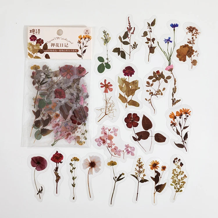 Natural plant collection Green Leaf Decorative PET Stickers Scrapbooking Label Diary Stationery Album Phone Cup Journal Planner