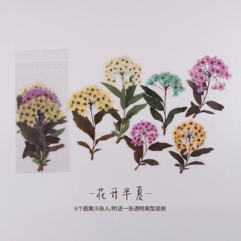 JIANQI 6pcs Large size Flowers Deco Stickers Scrapbooking Styling Junk Journaling Toy Aesthetic School DIY Stationery Stickers