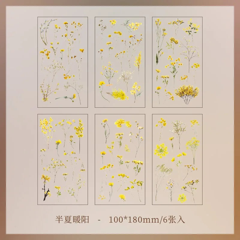 JIANQI 6pcs/pack Transparent PET Stickers Scrapbooking Materials DIY Junk Journal Collage Floral Leaves Plants Decor Stickers