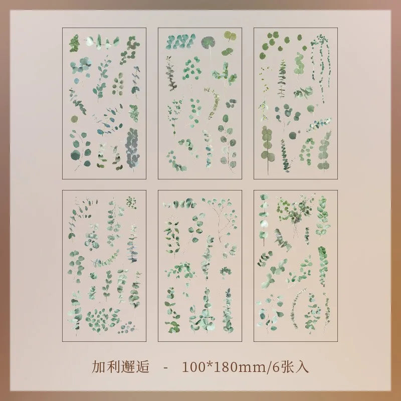 JIANQI 6pcs/pack Transparent PET Stickers Scrapbooking Materials DIY Junk Journal Collage Floral Leaves Plants Decor Stickers