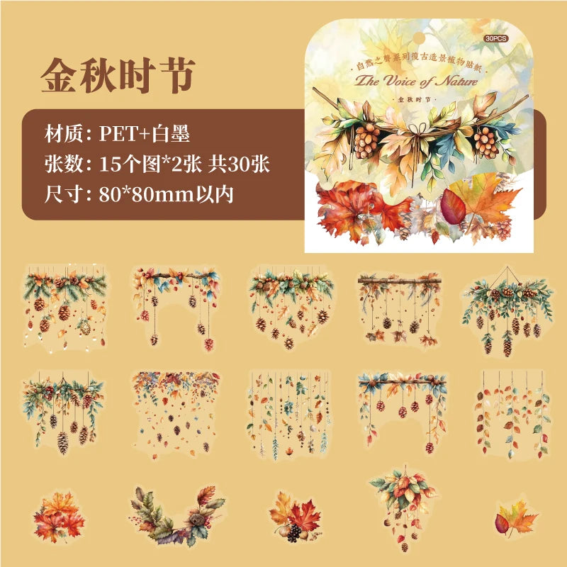 JIANQI 30 Pcs Natural Plant Flower Stickers PET Transparent Decorative Decals DIY Planner Diary Journal Scrapbook supplies