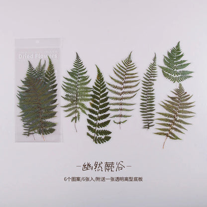 JIANQI 6pcs Large size Flowers Deco Stickers Scrapbooking Styling Junk Journaling Toy Aesthetic School DIY Stationery Stickers
