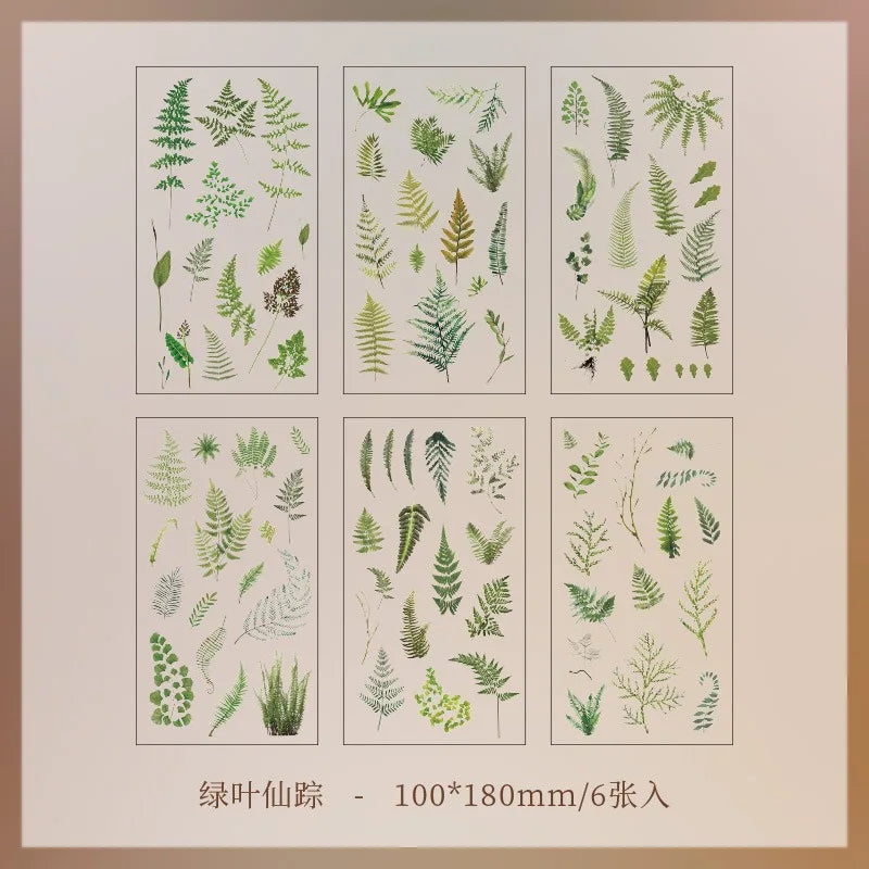 JIANQI 6pcs/pack Transparent PET Stickers Scrapbooking Materials DIY Junk Journal Collage Floral Leaves Plants Decor Stickers