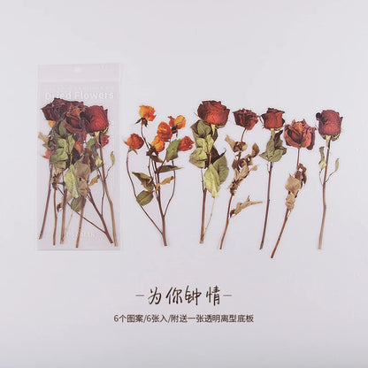 JIANQI 6pcs Large size Flowers Deco Stickers Scrapbooking Styling Junk Journaling Toy Aesthetic School DIY Stationery Stickers