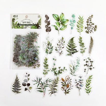 Natural plant collection Green Leaf Decorative PET Stickers Scrapbooking Label Diary Stationery Album Phone Cup Journal Planner