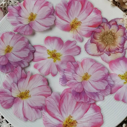 10pcs Flower plants Stickers Cute Craft Supplies Collage Junk Journal Scrapbooking Supplies Stickers School Stationery