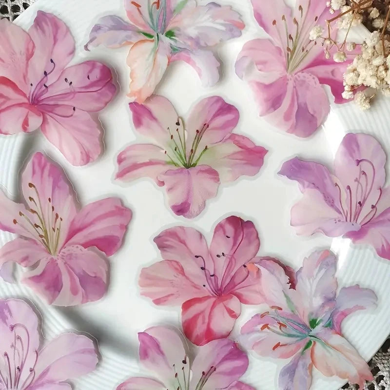10pcs Flower plants Stickers Cute Craft Supplies Collage Junk Journal Scrapbooking Supplies Stickers School Stationery