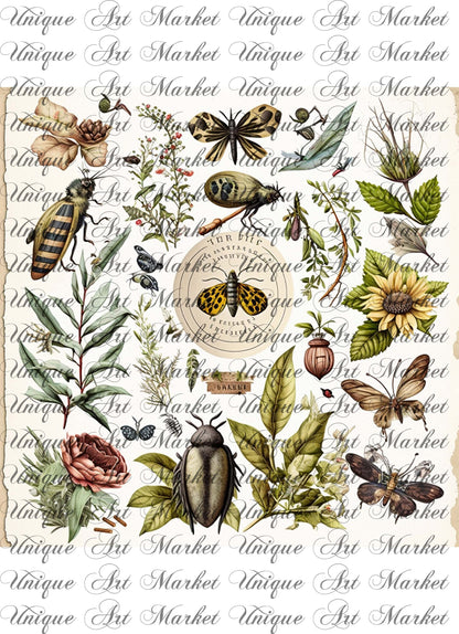 Junk Journal Kit, Fussy Cut, Bird, Bees, Bug, Beekeeper, Printable, Easter, Spring, Egg, Cricut, Ephemera, UniqueArtMarkt , Digital Download