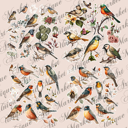 Vintage fussy cut birds flowers , junk journal ephemera, birds stickers ,  digital printable , collage , bird stickers , floral stickers