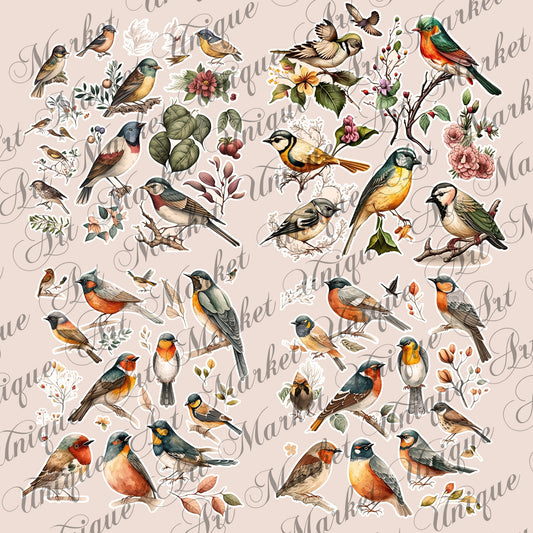 Vintage fussy cut birds flowers , junk journal ephemera, birds stickers ,  digital printable , collage , bird stickers , floral stickers