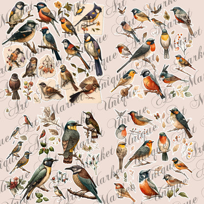 Vintage fussy cut birds flowers , junk journal ephemera, birds stickers ,  digital printable , collage , bird stickers , floral stickers