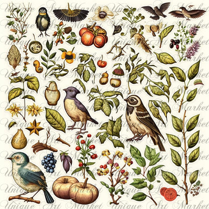 Junk Journal Kit, Fussy Cut, Bird, Bees, Bug, Beekeeper, Printable, Easter, Spring, Egg, Cricut, Ephemera, VOL 02 BUNDLE , Digital Download
