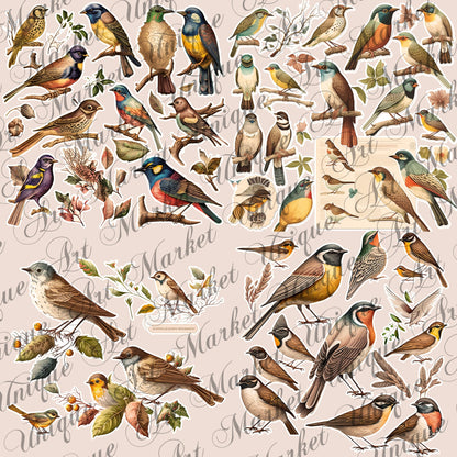 Vintage fussy cut birds flowers , junk journal ephemera, birds stickers ,  digital printable , collage , bird stickers , floral stickers