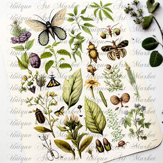 Junk Journal Kit, Fussy Cut, Bird, Bees, Bug, Beekeeper, Printable, Easter, Spring, Egg, Cricut, Ephemera, VOL 02 BUNDLE , Digital Download