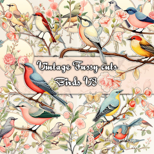 Vintage fussy cut birds flowers v3 kit , junk journal ephemera, birds stickers , digital printable, collage ,butterflies , floral stickers