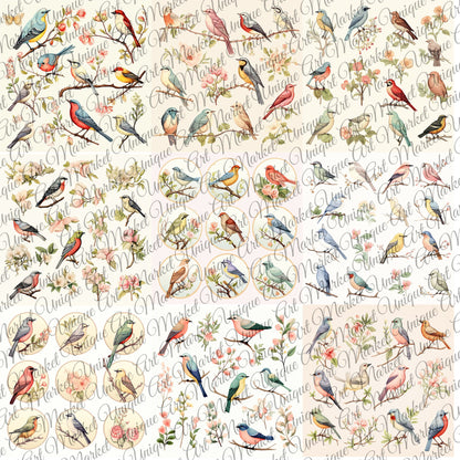 Vintage fussy cut birds flowers v3 kit , junk journal ephemera, birds stickers , digital printable, collage ,butterflies , floral stickers