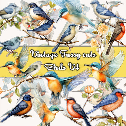 Vintage fussy cut birds flowers v4 kit , junk journal ephemera, birds stickers , digital printable, collage , scrapbooking , floral stickers