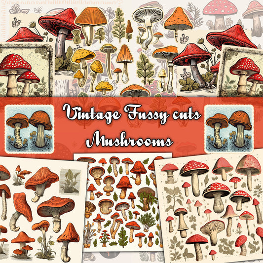 Vintage fussy mushrooms Mega bundle kit , junk journal ephemera, mushroom stickers , digital printable, collage, scrapbooking, vintage print