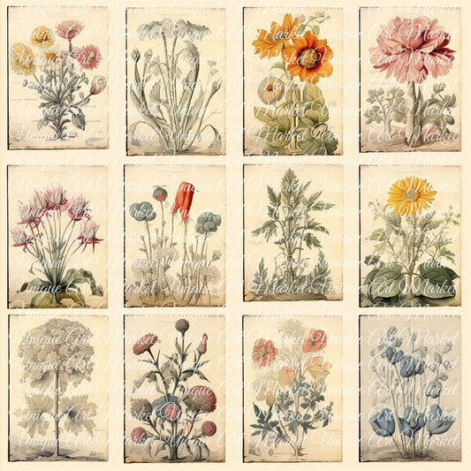 Vintage Flower Botanic Pintables: 80 Charming Floral Images for Junk Journaling and Scrapbooking Fussy Cut Digital Flowers, Floral Ephemera