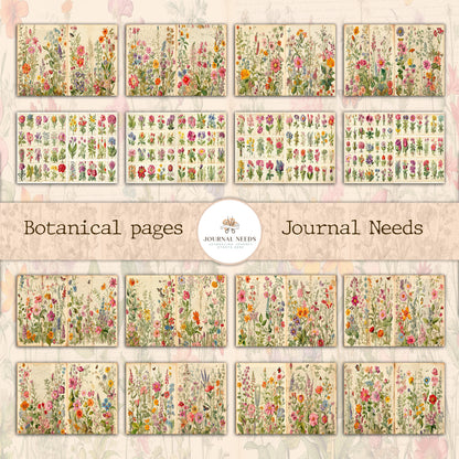 Botanic Beauty Journaling and Scrapbooking Kit - 32 Pages of Nature-Inspired Delight , vintage ephemera botanic - single pages floral pages