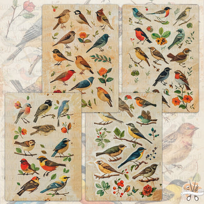 Vintage Bird Lover's Treasure : 24 Unique Journal Pages for Junk Journaling and Scrapbooking