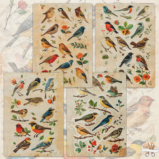 Vintage Bird Lover's Treasure : 24 Unique Journal Pages for Junk Journaling and Scrapbooking